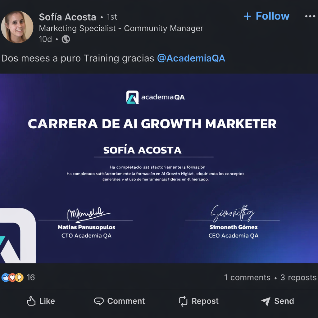 Certificado de Media Buyer 3